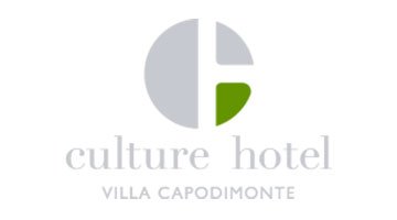 Culture Hotel